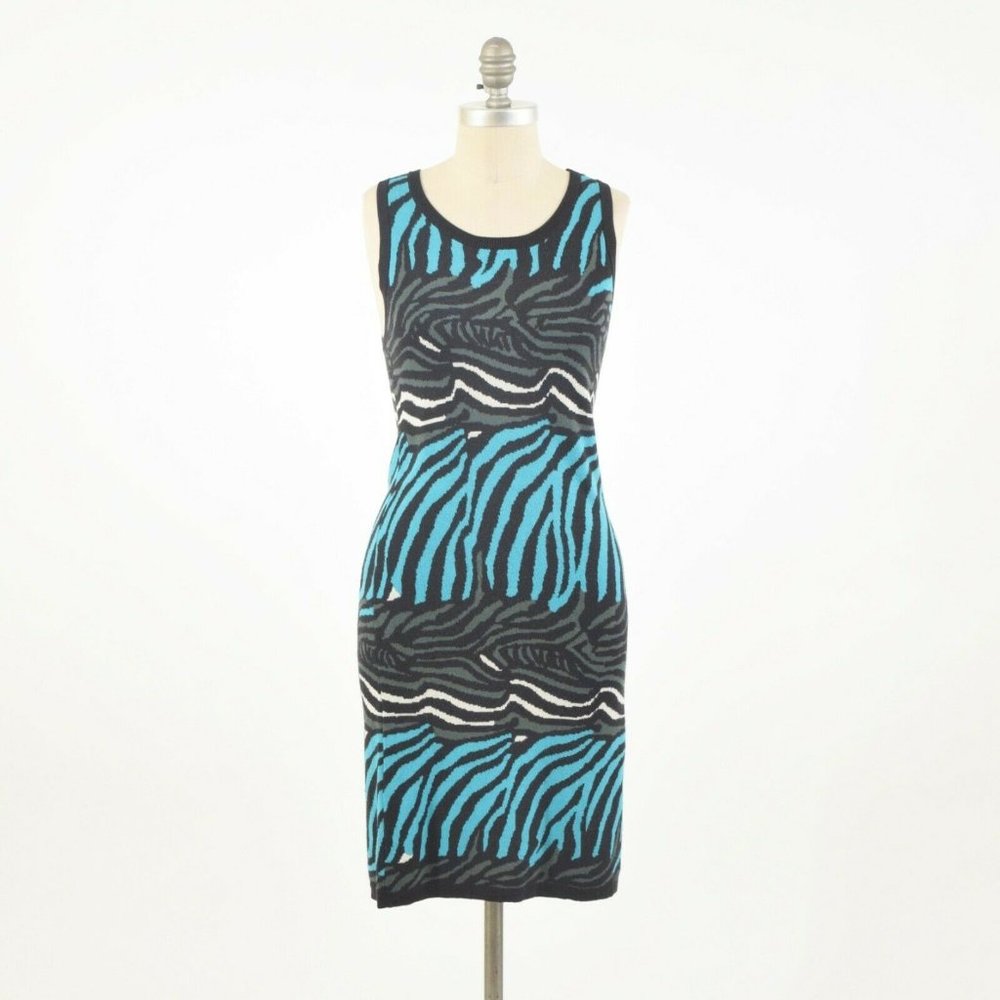 Issa London X Banana Republic Zebra Print Dress